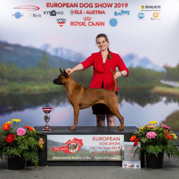 EXPRESS_899_HR_EURODOGSHOW_WELS_2019_KYNOWEB_KY3_8599_20190616_17_11_27