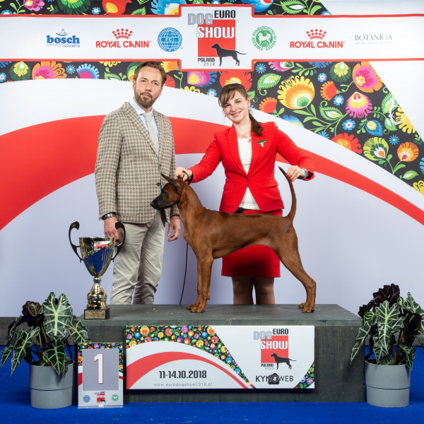 PUPPY_1_12590_HR_EDS-WARSAW_2018_KYNOWEB_KY3_6176_20181014_14_40_52