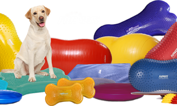 1-NEW_FitPAWS_-Deluxe_Rehab_KIT