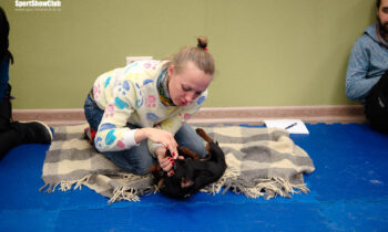 IMG_6916 IMG_6916